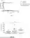 Fig. 02 - Assay for Assessing Cancer