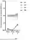 Fig. 14 - IDENTIFICATION OF SOMATIC OR GERMLINE ORIGIN FOR CELL-FREE DNA