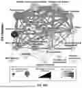 Fig. 197 - Methods and Systems for Analysis of Gene Expression Data