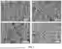 Fig. 02 - COMPOSITE SOLID ELECTROLYTE, PREPARATION METHOD, AND APPLICATION
