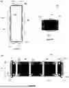 Fig. 06 - Electrode Stack Assembly for a Metal Hydrogen Battery