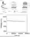 Fig. 02 - CORE-SHELL SUPRAMOLECULAR HYDROGEL FIBER MOISTURE ELECTRICAL GENERATORS ENABLED BY SYNERGETIC COMPLEX COACERVATION AND BUILT-IN POTENTIAL