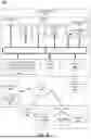 Fig. 20 - BIOMETRIC-BASED CONSENT OF DIGITAL SIGNATURE