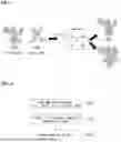 Fig. 08 - METHOD OF ENCODING/DECODING GAUSSIAN SPLAT FOR 3D SPACE REPRESENTATION