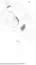 Fig. 07 - EARPHONE WITH PLURALITY OF SUPPORTING PORTIONS