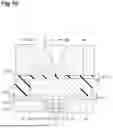 Fig. 17 - LIGHT DETECTION ELEMENT