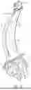 Fig. 06 - CHAIR OR SEAT ASSEMBLY WITH SENSOR AND ILLUMINATION
