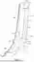 Fig. 10 - CHAIR OR SEAT ASSEMBLY WITH SENSOR AND ILLUMINATION