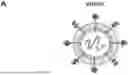 Fig. 01 - METHODS FOR ASSEMBLING PROTEIN-CONJUGATED NANOCARRIER VACCINES