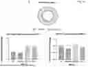 Fig. 07 - METHODS FOR ASSEMBLING PROTEIN-CONJUGATED NANOCARRIER VACCINES