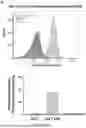 Fig. 09 - METHODS FOR ASSEMBLING PROTEIN-CONJUGATED NANOCARRIER VACCINES