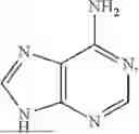 Fig. 02 - METHODS AND COMPOSITIONS FOR ANTI-CD45 BASED NON-GENOTOXIC CONDITIONING