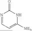 Fig. 04 - METHODS AND COMPOSITIONS FOR ANTI-CD45 BASED NON-GENOTOXIC CONDITIONING