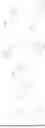 Fig. 476 - Mannose 6-Phosphate Receptor Binding Compounds for the Degradation of Extracellular Proteins