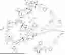 Fig. 716 - Mannose 6-Phosphate Receptor Binding Compounds for the Degradation of Extracellular Proteins