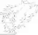 Fig. 718 - Mannose 6-Phosphate Receptor Binding Compounds for the Degradation of Extracellular Proteins