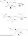 Fig. 761 - Mannose 6-Phosphate Receptor Binding Compounds for the Degradation of Extracellular Proteins