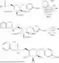 Fig. 775 - Mannose 6-Phosphate Receptor Binding Compounds for the Degradation of Extracellular Proteins