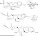 Fig. 779 - Mannose 6-Phosphate Receptor Binding Compounds for the Degradation of Extracellular Proteins