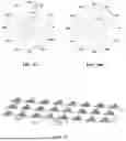 Fig. 17 - COMPOSITIONS COMPRISING TEXTURED PATTERNS AND METHODS OF USING THE SAME