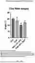 Fig. 17 - Nozzle For A Spray Drying System