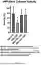 Fig. 19 - Nozzle For A Spray Drying System
