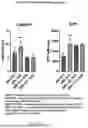 Fig. 23 - Nozzle For A Spray Drying System