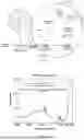 Fig. 02 - METHOD FOR PHOTOCATALYTIC DEGRADATION OF PLASTIC MATERIALS UNDER VISIBLE LIGHT
