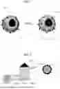 Fig. 02 - APPARATUS AND METHOD FOR UNIFORMLY PROCESSING POWDER MATERIAL USING INTENSE PULSED LIGHT