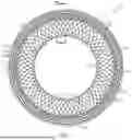 Fig. 02 - FLEXURE MEMBER FOR NON-PNEUMATIC TIRE SPOKE COMPONENT