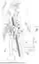 Fig. 03 - Jack with Self-Adjusting Securement Mechanism