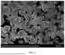 Fig. 02 - MONOCRYSTALLINE POSITIVE ELECTRODE MATERIAL AND PREPARATION METHOD THEREOF AND LITHIUM-ION BATTERY