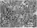 Fig. 01 - CATHODE ACTIVE MATERIAL, PREPARATION METHOD THEREFOR, CATHODE PLATE, BATTERY, AND ELECTRIC DEVICE