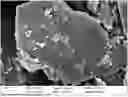 Fig. 01 - A METHOD FOR IMPROVING BIOLOGICAL MANGANESE OXIDATION PERFORMANCE OF MANGANESE-OXIDIZING BACTERIA AND APPLICATION THEREOF