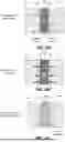 Fig. 09 - Graphite-Based Infrastructures for Handling Molten Metals and Methods of Forming Thereof