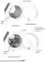 Fig. 52 - SYSTEM AND METHOD FOR RECOMPOSITION OF THE DEAD