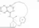 Fig. 02 - MACROCYCLIC HETEROCYCLES AND USES THEREOF
