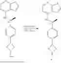 Fig. 216 - BAX INHIBITORS AND USES THEREOF