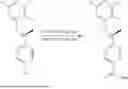 Fig. 321 - BAX INHIBITORS AND USES THEREOF