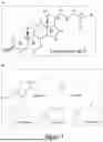 Fig. 04 - LIPID COMPRISING DOCOSAPENTAENOIC