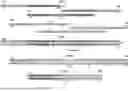 Fig. 01 - Methods of Synthesizing Nucleic Acid Molecules