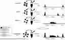 Fig. 01 - METHODS AND SYSTEMS FOR COMBINATORIAL CHROMATIN-IP SEQUENCING