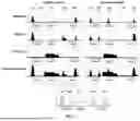 Fig. 04 - METHODS AND SYSTEMS FOR COMBINATORIAL CHROMATIN-IP SEQUENCING