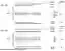 Fig. 38 - METHODS FOR TARGETED SEQUENCING OF CELL-FREE DNA