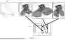 Fig. 07 - SOURCE OPTIMIZATION FOR MITIGATING MASK ERROR IMPACT