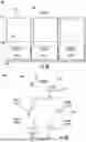 Fig. 10 - Systems and Methods for Structure-Conforming Generation of Content
