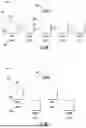 Fig. 11 - Systems and Methods for Structure-Conforming Generation of Content