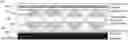 Fig. 01 - LOW-FLASH ELECTROPHORETIC DISPLAY UPDATES USING NOISE MASKS FOR WAVEFORM INITIATION