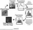 Fig. 04 - Order-based Diagnosis of Cervical Cancers