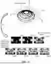 Fig. 08 - IMAGE COLLECTION METHODS AND IMAGE CAPTURE DEVICES